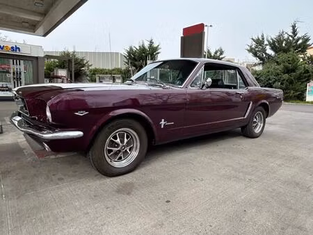Ford Mustang Collection