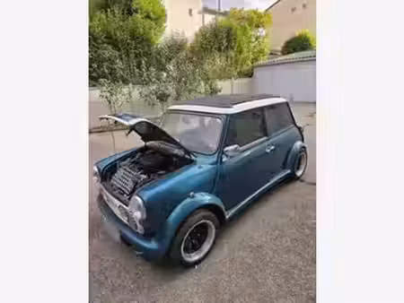 Rover Mini 1.3