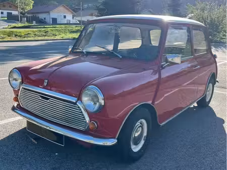Mini Mini 