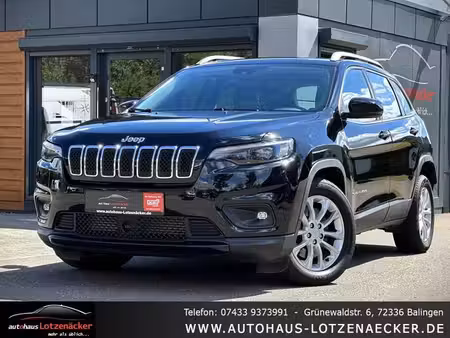 Jeep Cherokee 2.2 195 Longitude