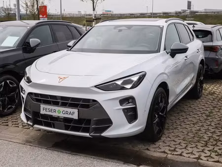 Cupra Terramar 1.5