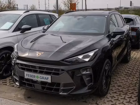 Cupra Terramar 1.5