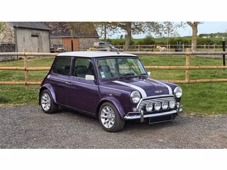 Rover Mini 1.3