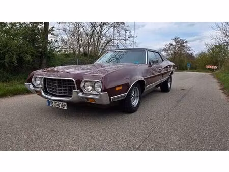 Ford Torino SE