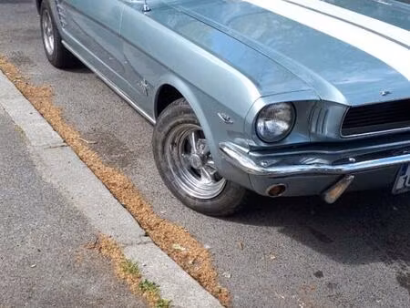 Ford Mustang Collection
