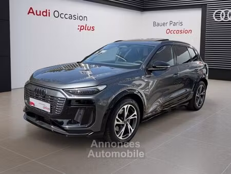 Audi Q6 E-Tron 45 306 S line