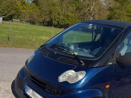 Smart Fortwo 0.6