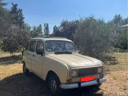 Renault R4 4L
