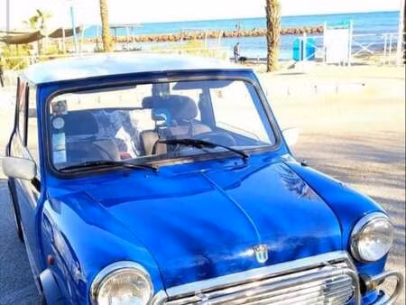 Rover Mini 1.3