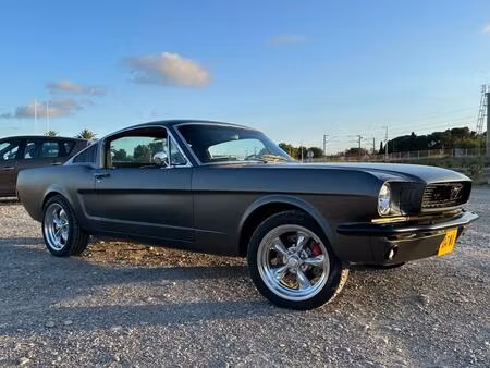 Ford Mustang Fastback Collection