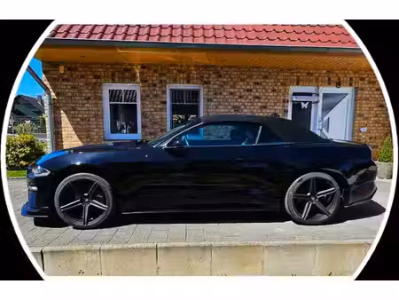 Ford Mustang 2.3 EcoBoost 314