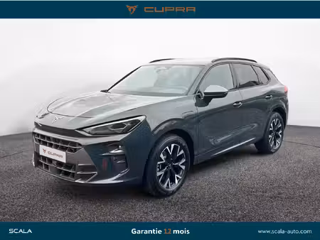 Cupra Terramar 1.5