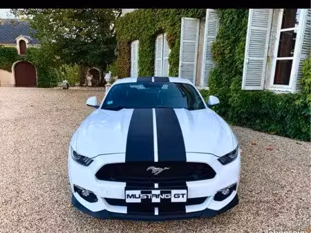 Ford Mustang Fastback V8 5.0 421