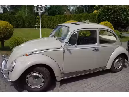Volkswagen Beetle 