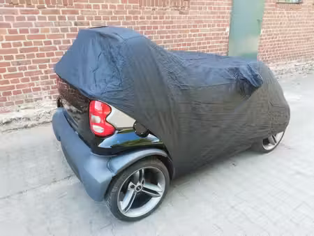 Smart Fortwo 0.6