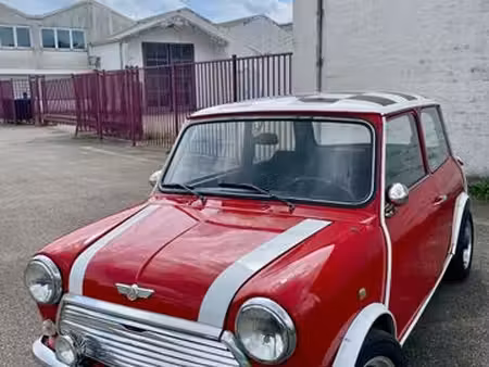 Mini Mini 