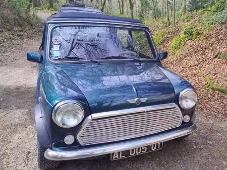 Rover Mini 1.3
