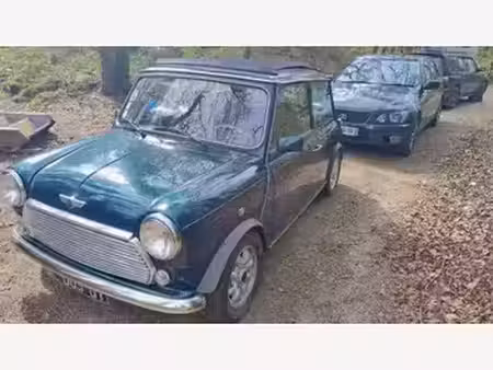 Rover Mini 1.3
