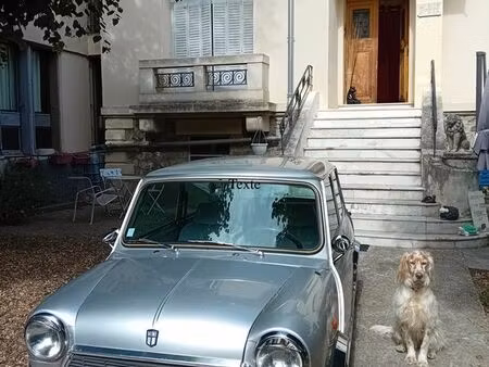 Rover Mini 1.3 53