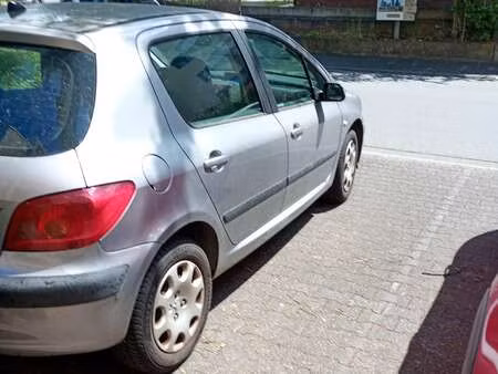 Peugeot 307 2.0 110