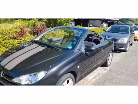 Peugeot 206 CC 1.6 110