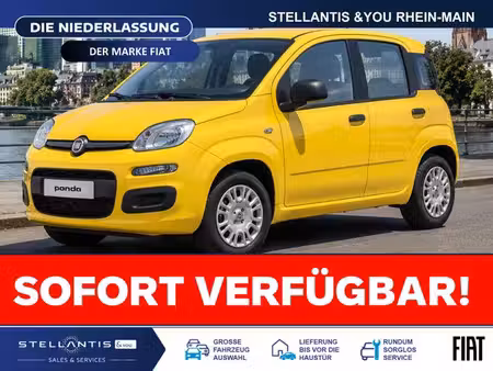 Fiat Panda 1.0 65 Icône