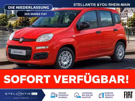 Fiat Panda 1.0 65 Icône