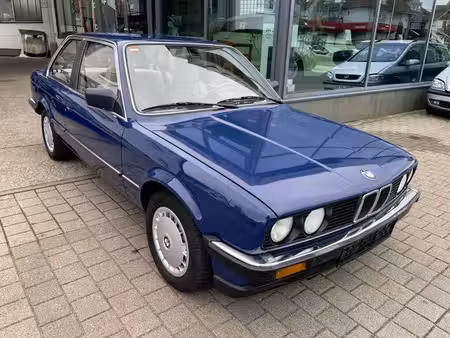 BMW Série 3 318i