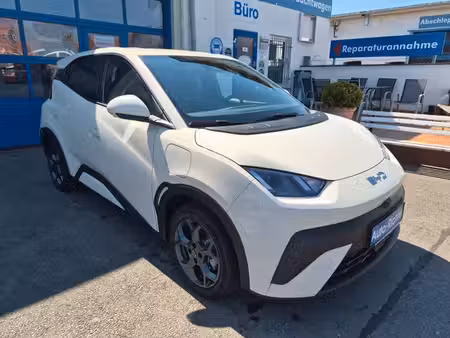 BYD Dolphin 156 Comfort