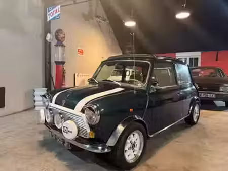 Rover Mini 1.3