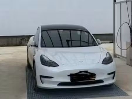 Tesla Model 3 Standard Plus 275