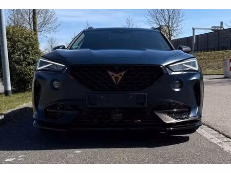 Cupra Formentor 2.0 TSI 310 4x4
