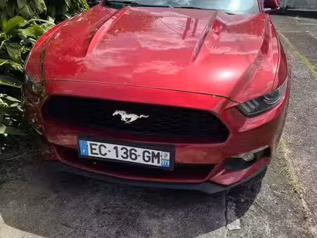 Ford Mustang Fastback 2.3 EcoBoost 317