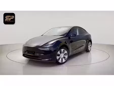 Tesla Model Y Standard 300
