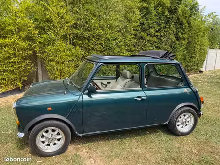Rover Mini 1.3 53