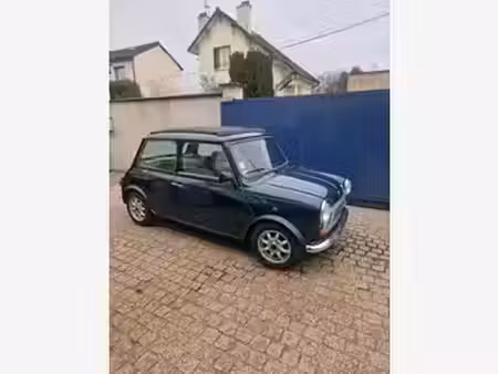 Rover Mini 1.3