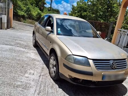 Volkswagen Passat 1.9 TDI 100
