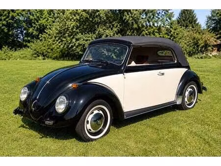 Volkswagen Beetle 1.3 50