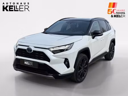 Toyota RAV4 2.5 222 Style 4x4