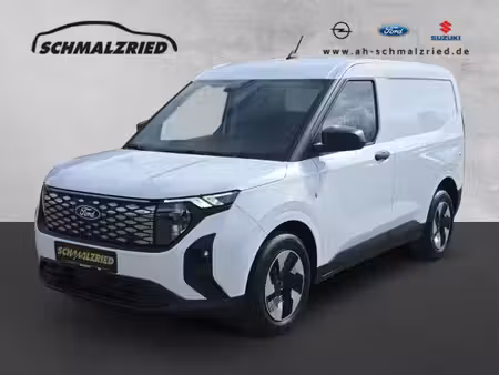 Ford Transit 100
