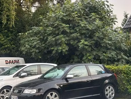 Audi A3 S3 1.8 T 210 quattro