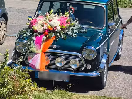 Mini Mini Cooper