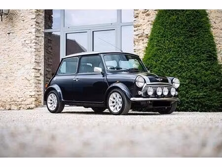 Rover Mini 1.3