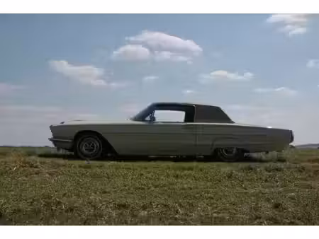 Ford Thunderbird 