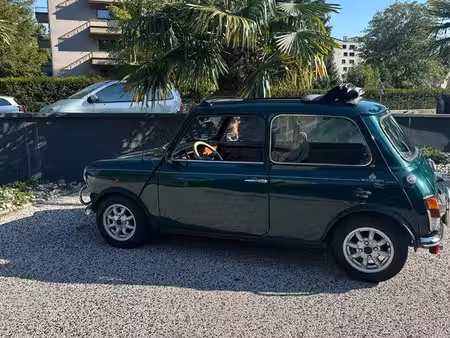 Rover Mini 1.3 53