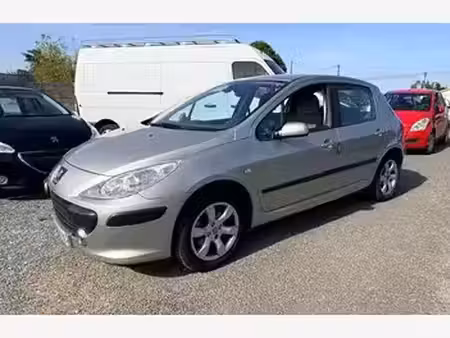 Peugeot 307 2.0 141 Executive