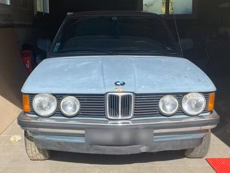 BMW Série 3 318i