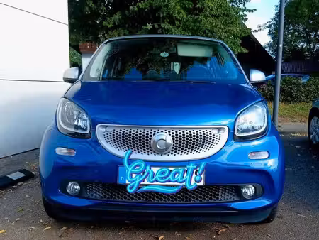 Smart Forfour 1.0 71
