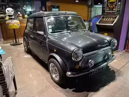 Rover Mini 1.3