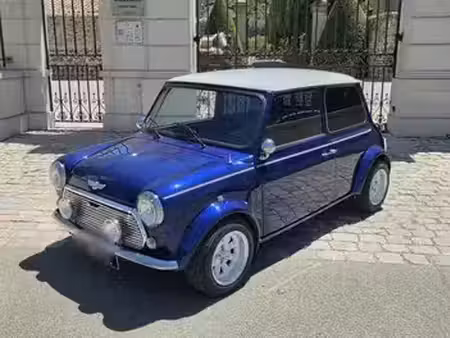 Rover Mini 1.3